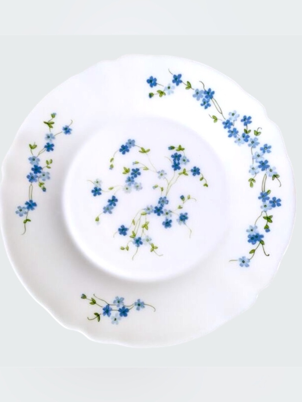 Set‎ Of 4 Vintage Arcopal France Forget Me Not Soup Bowls 9” Cottagecore